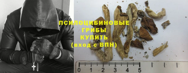 прущие крисы Богданович