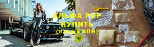 ГАЛЛЮЦИНОГЕННЫЕ ГРИБЫ Богородск