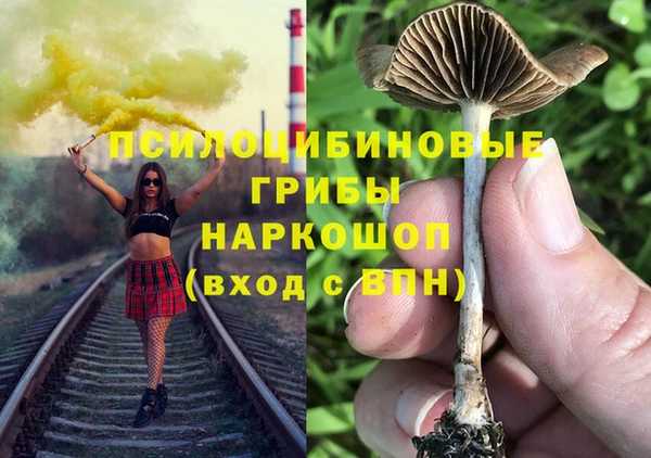 прущие крисы Богданович