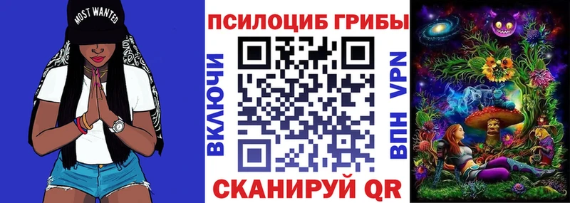 darknet состав  Старица  Псилоцибиновые грибы Psilocybine cubensis  магазин   